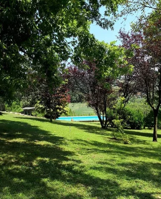 Thumbnail Degustazione a bordo piscina presso la Cantina Alepa