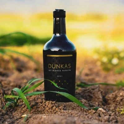 Thumbnail Degustazione di vini aromatici con abbinamenti sardi alla Cantina Lilliu a Marmilla