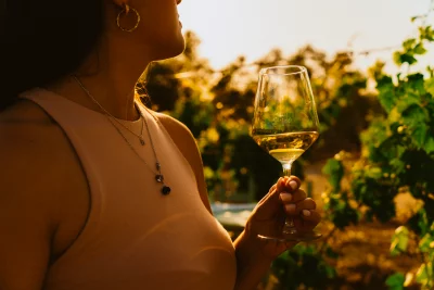 Thumbnail Degustazione di vini bianchi con abbinamenti locali presso la Cantina Lilliu a Marmilla