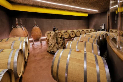 Thumbnail Amphora and Chalk: the unique wines of Le Sode di Sant'Angelo