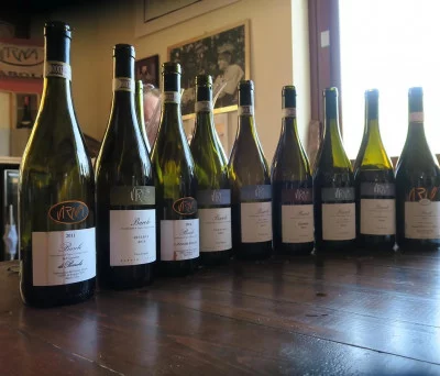 Thumbnail Winemaker Experience at Virna Borgogno in Barolo