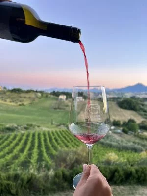 Thumbnail Piceno Terroir & Elisir Wine Tasting at Vigneti Vallorani