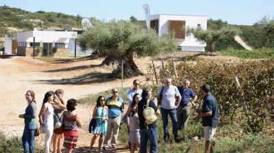 Thumbnail Visite guidée avec dégustation de vin et d'huile d'olive à la Bodega Mas de Rander