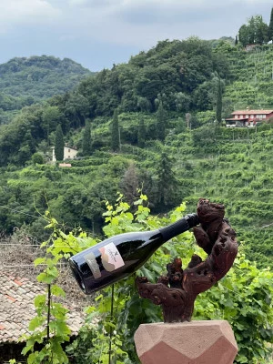 Thumbnail Ausgezeichnetes Weinerlebnis, um die Welt des Prosecco zu entdecken