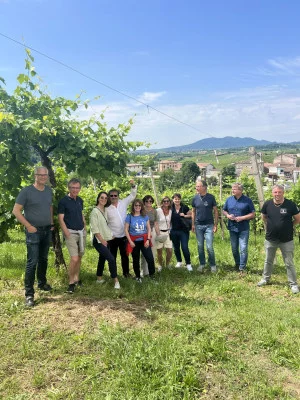 Thumbnail Excellente wine experience pour découvrir le monde du prosecco