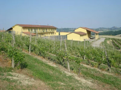 Thumbnail Visitas a bodegas y viñedos para descubrir Cascina Fietta