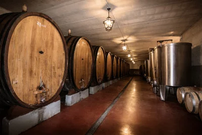 Thumbnail Piemontese wine tasting experience at Grimaldi Wines