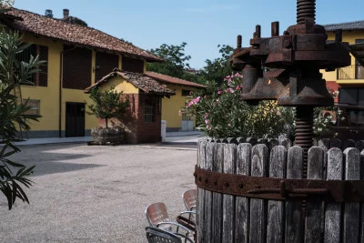 Thumbnail Piemontese wine tasting experience at Grimaldi Wines