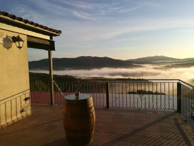 Thumbnail Premiumbesuch und Weinprobe im Weingut Cuscó Berga