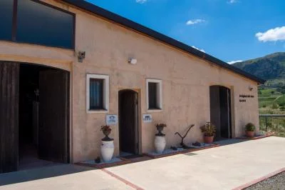 Thumbnail Explore l'authenticité du vin sicilien : Dégustation de vin biologique à la cave Todaro