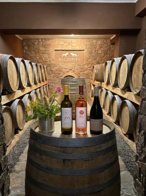 Thumbnail Wine Tasting Experience at the Malaspina Winery