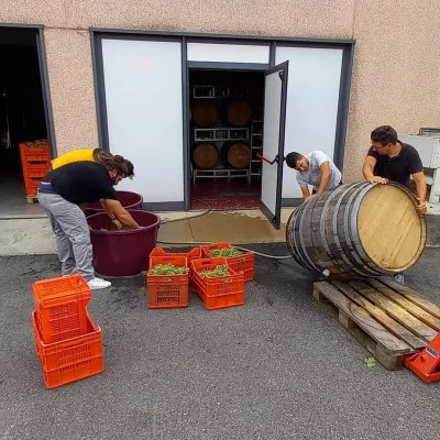 Thumbnail Birrificio italiano Visita y degustación