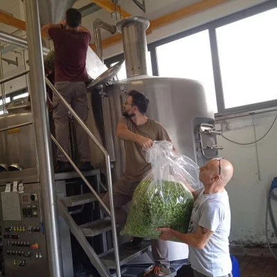 Thumbnail Birrificio italiano Visita y degustación