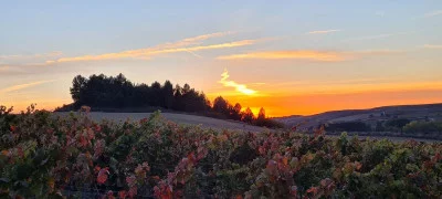 Thumbnail Explore la Rioja avec une visite de cave et une dégustation de vin à la Bodega Heredad Martinez Castillo