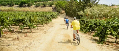 Thumbnail Private E-Bike adventure from the coast of Barcelona to the vineyards of Alella with winery visit and tasting