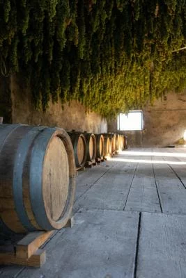 Thumbnail Wine Experience "Evoluzione" presso l'Azienda Agricola Giovanni Menti