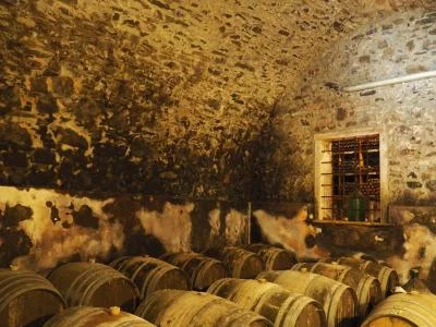 Thumbnail Evolution Weinprobe auf dem Weingut Menti