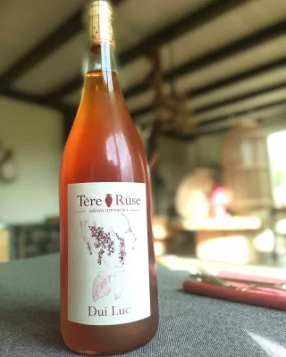 Thumbnail Tère Rüse, de la bodega a la mesa: Comida o cena con cata de vinos