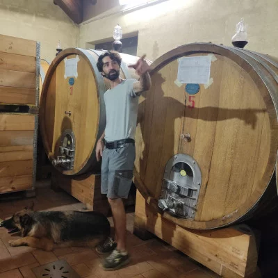Thumbnail Tère Rüse, vom Keller auf den Tisch: Mittagessen oder Abendessen mit Weinprobe