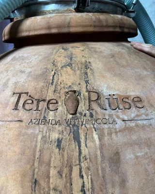 Thumbnail Tère Rüse, dalla cantina alla tavola: Pranzo o cena con degustazione di vini