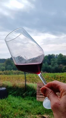Thumbnail Tère Rüse, de la bodega a la mesa: Comida o cena con cata de vinos