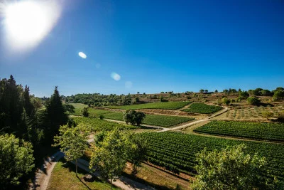 Thumbnail Wine & Cheese Tasting Experience at Domaine Calmel & Joseph