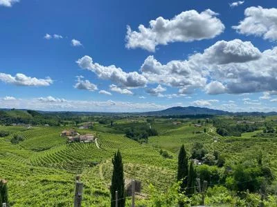 Thumbnail Conegliano Valdobbiadene and Prosecco DOCG Wine Tour from Padua