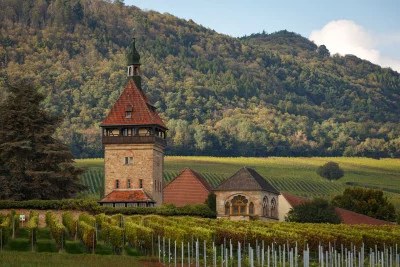 Fantastica esperienza di degustazione di vini
