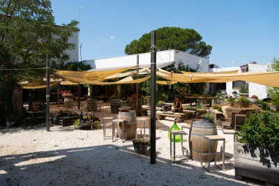 Thumbnail Light Lunch & Wine Tasting at Cantine Polvanera