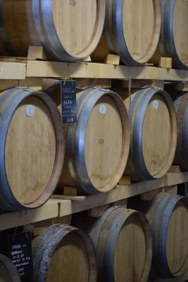 Thumbnail Weingutstour und Weinprobe auf dem Familienweingut L'Agona Vini in der Toskana