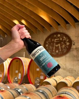 Thumbnail Visita a la bodega y cata de 4 vinos, incluidos 3 Barolos en Fortemasso