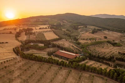 Thumbnail Natural Wine &amp; Olive Oil Experience "La Totale" à l'Azienda Agricola Toscani à Casale Marittimo