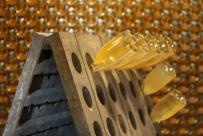 Thumbnail Dégustation de vin « Follie di Durello », plateau de spécialités locales et visite de la cave Giannitessari dans la vallée d'Alpone