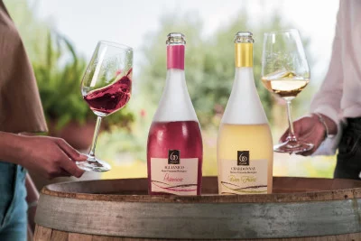 Thumbnail Cata de vinos ecológicos y visita a la Bodega Ladogana