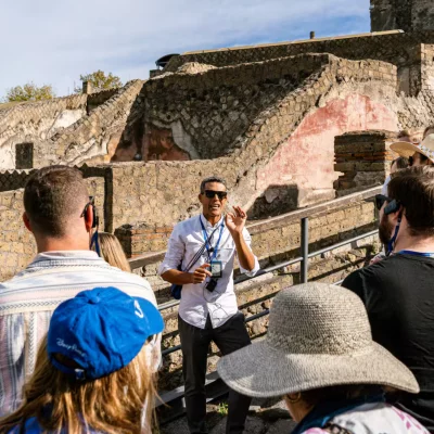 Thumbnail Tour archeologico di Pompei e degustazione di vini superiore da Napoli
