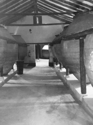Thumbnail Weinprobe in der Bodega del Nero in der Nähe von Madrid