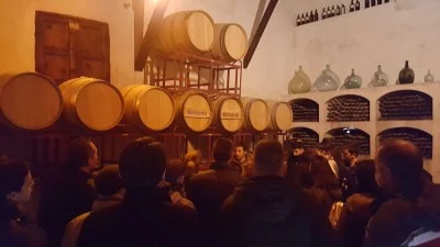 Thumbnail Wine tasting experience at Bodega del Nero close to Madrid