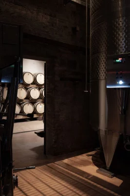 Thumbnail Besichtigung und komplette Weinprobe auf der Tenuta di Montefoscoli in der Toskana