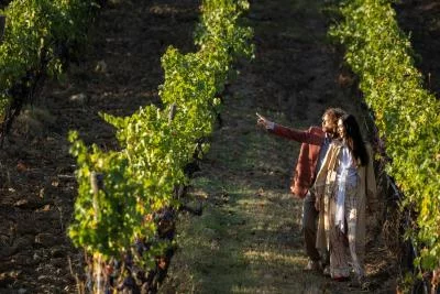 Thumbnail Visite guidée des vignobles « Signature » de Casa Ruffino