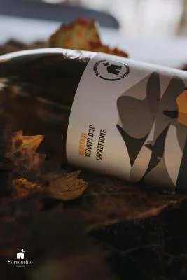 Thumbnail Goldenes Weinerlebnis mit Mittagessen bei Sorrentino Vini am Vesuv