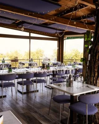 Thumbnail Gold Wine Experience with Lunch at Sorrentino Vini on the Vesuvius