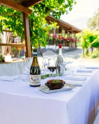 Thumbnail Gold Wine Experience avec déjeuner à Sorrentino Vini sur le Vésuve