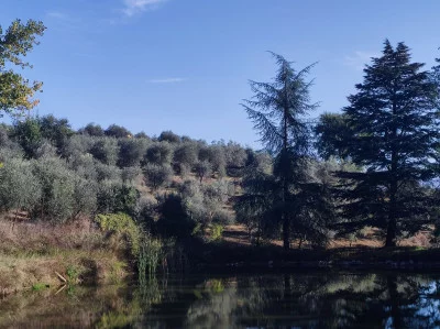 Thumbnail Visite et dégustation de vins alchimiques avec déjeuner léger à Malerba Vini en Toscane