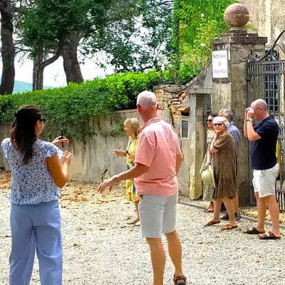 Thumbnail Visita e Degustazione vini con Pranzo o Cena a Casa Sola Winery in Chianti