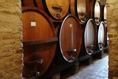 Thumbnail Full-day Brunello di Montalcino Wine Tour from Siena