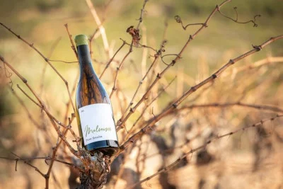 Thumbnail Rivesaltes y los Secretos de su Terruño: Ruta Matinal del Vino desde Perpiñán