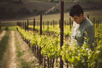 Thumbnail Weinprobe &amp; Weinberg-Tour in Montepulciano bei Agricola Chiacchiera
