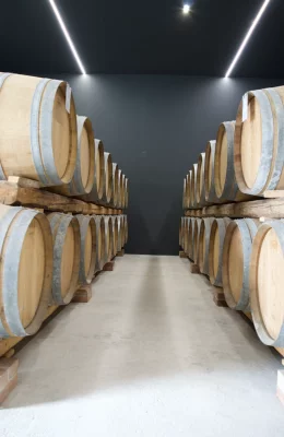Thumbnail Degustazione Selezioni e tour della cantina alla Tenuta di Tavignano