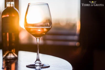 Thumbnail Light Lunch & Wine Tasting with the winemaker at Terre di Gratia
