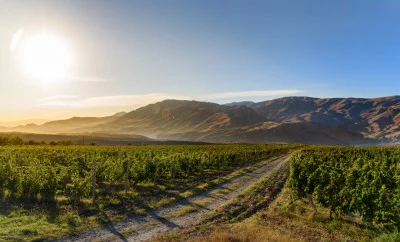 Thumbnail Tour di un giorno sulla Strada del Vino di Vayots Dzor: Scopri i vigneti d'alta quota